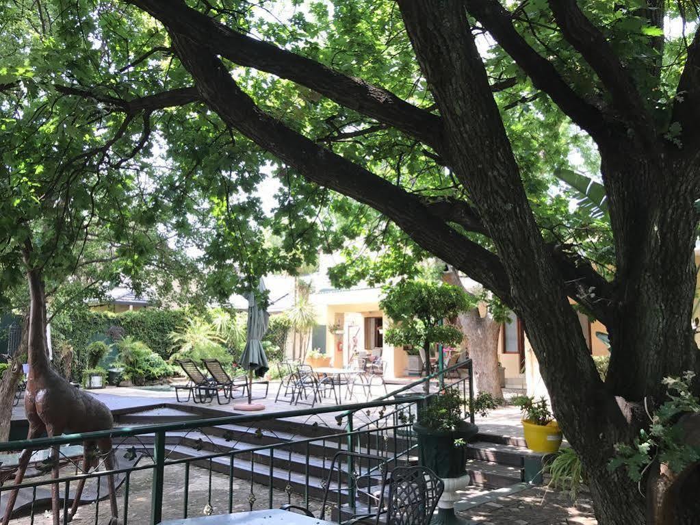 Elizabeth Manor Guest House Johannesburg Exterior photo